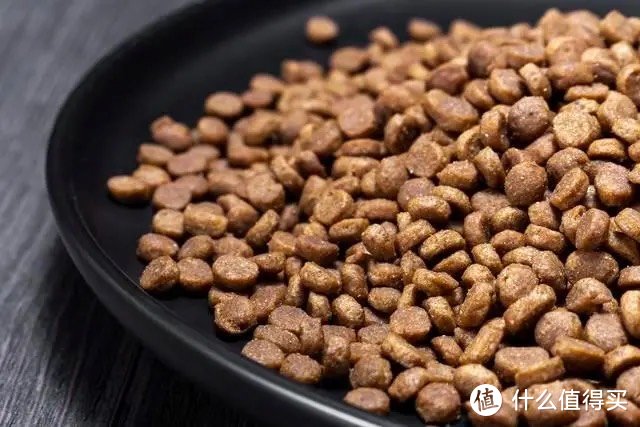 为何农村的狗可以吃剩菜剩饭,宠物狗却要吃狗粮?狗粮是智商税?
